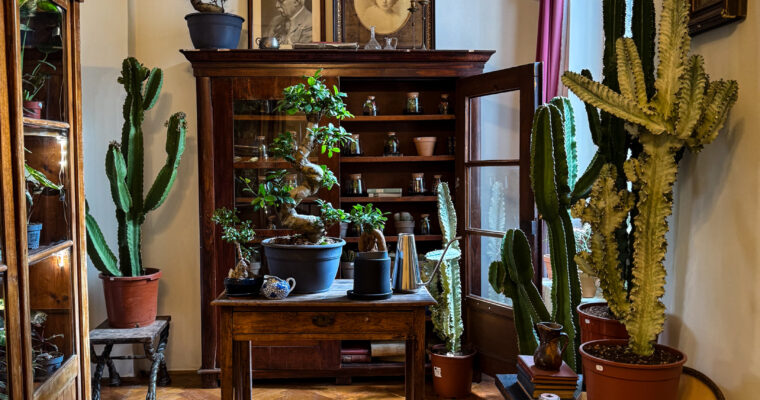 Casa Siminei Mezincescu (General Henri Mathias Berthelot 73) – un sanctuar al biofiliei urbane