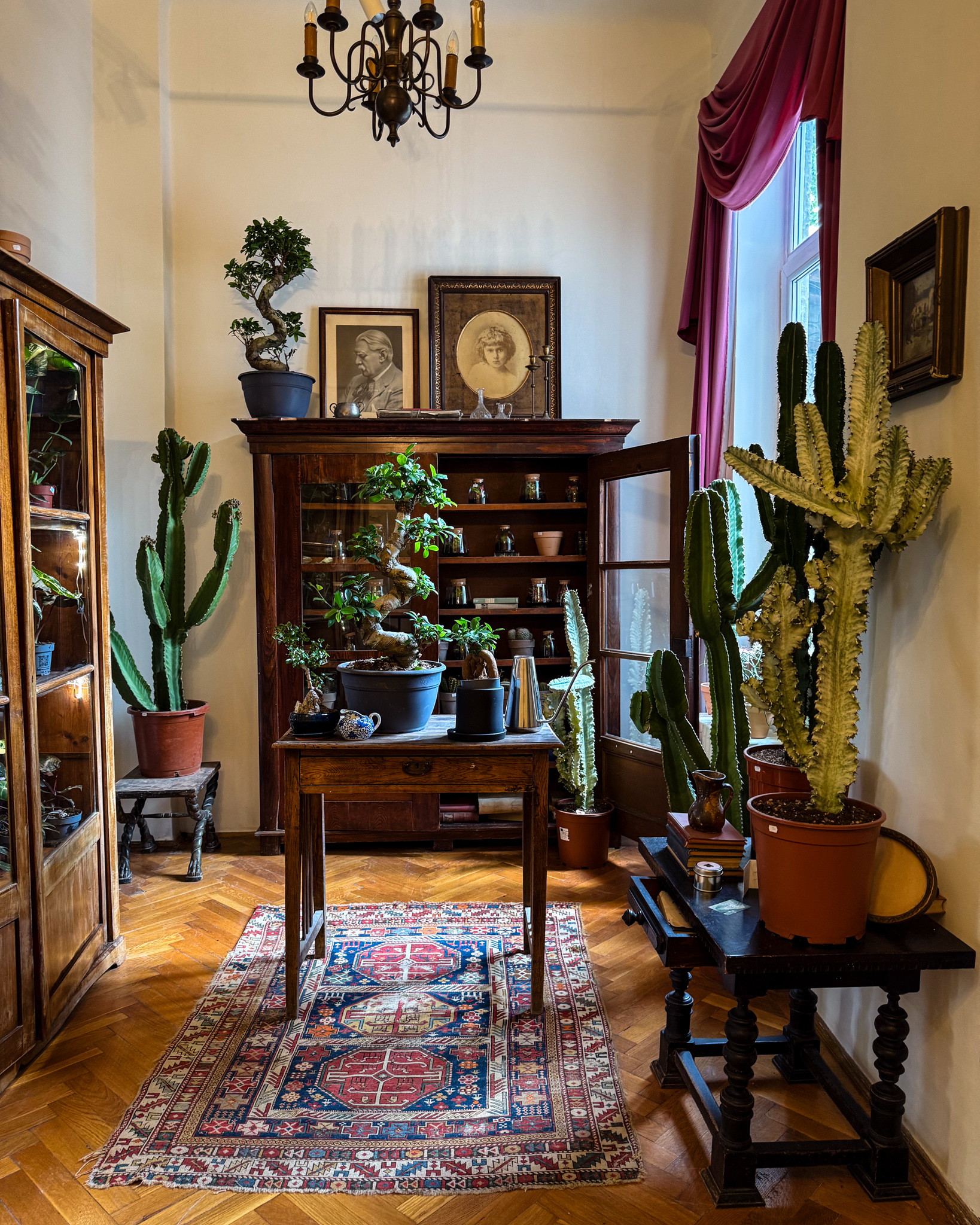Casa Siminei Mezincescu (General Henri Mathias Berthelot 73) – un sanctuar al biofiliei urbane
